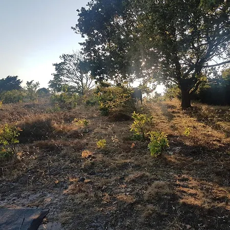 Bright With Hot Tub - By Traum *